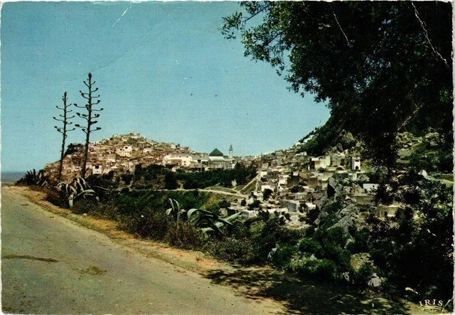 CPM AK MOROCCO - MOULAY IDRISS - General View (328990)