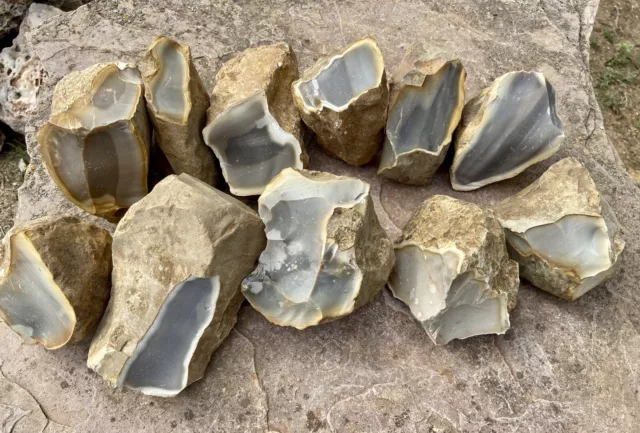 **HIGH QUALITY**Edwards Plateau TX Chert/Flint 11 Large Whole Rocks 27 Lbs