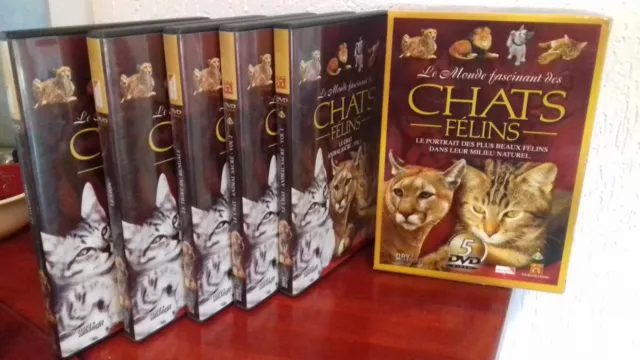 5 DVD Coffret sur " Le monde fascinant des chats et félins "