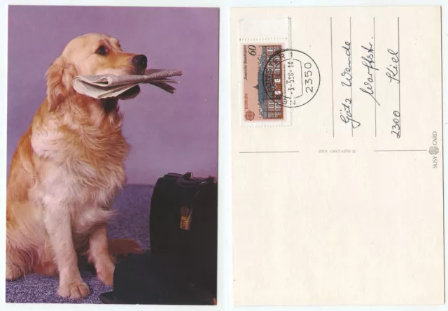 20016 - Dog Ported Newspaper - Postcard, Run Neumünster 3.5.1990