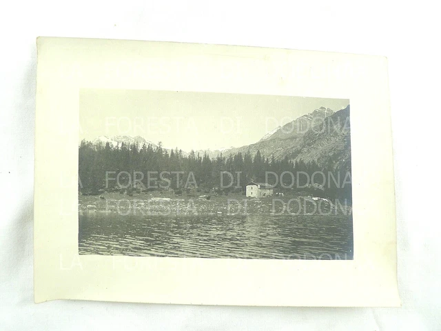 FOTOGRAFIA ANTICA 1904 LAGO PALù VALMALENCO  TRENTINO FOTO VECCHIA PANORAMA