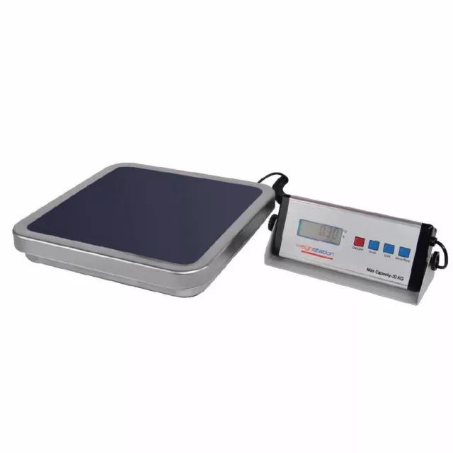 Weighstation Digital Bench Scales