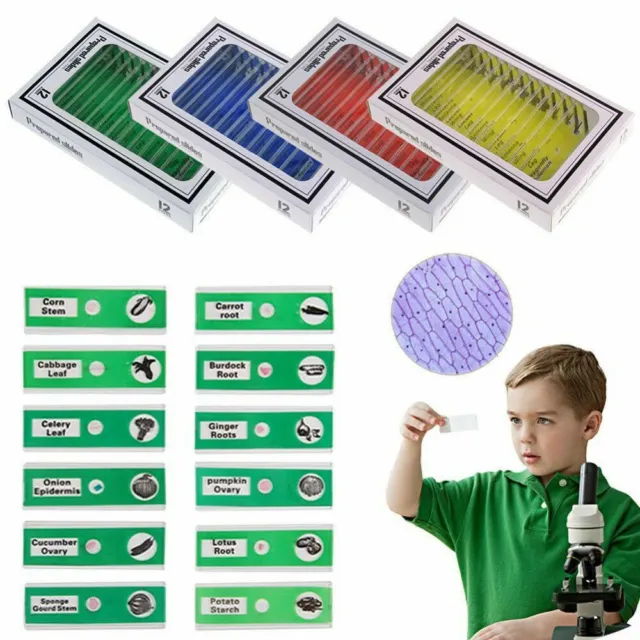 Microscope Prepared Slides 48 PCS Insects Plant Animal Plastic