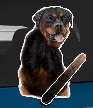 Rottweiler Dog and Animal rear window wiper sticker - 10 inches tall