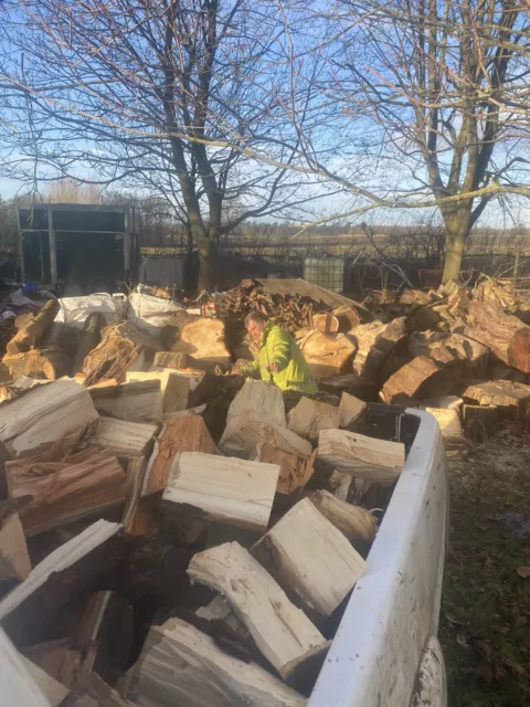 firewood logs hardwood