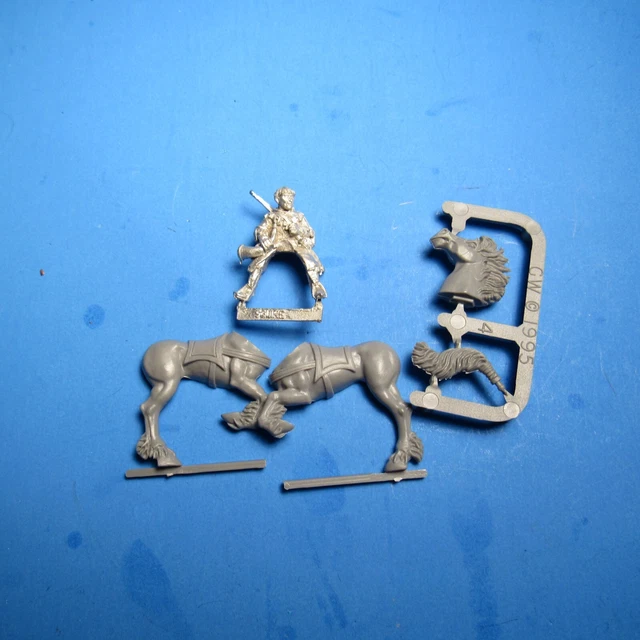 Battle Standard Bearer a cavallo e a piedi