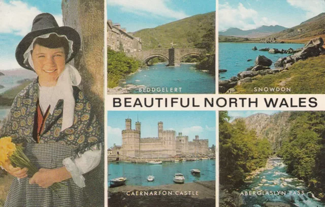 Postcard - North Wales - Beautiful North Wales - 4 views