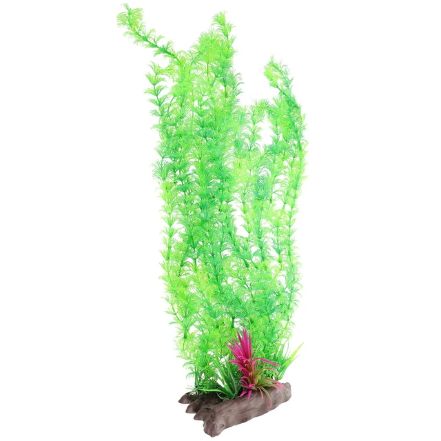PIANTE D'ACQUARIO PER Pesci Decorazioni Acquatiche Tartarughe Pianta ...