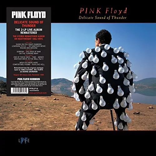 Pink Floyd - Delicate Sound Of Thunder [VINYL]