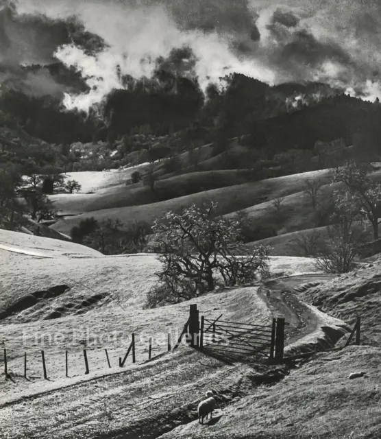 1950s Original Vintage ANSEL ADAMS Mendocino Pastures Landscape KROMEKOTE Photo