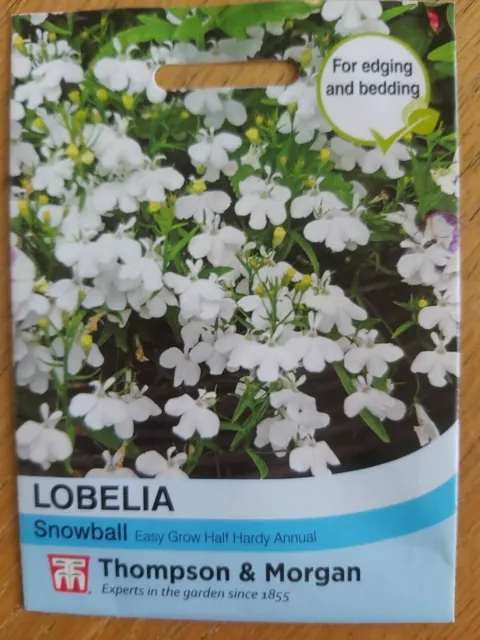 Thompson & Morgan - Flowers - Lobelia Snowball - 1000 Seed