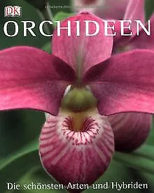 Orchideen: Die schönsten Arten und Hybriden von Thomas J... | Buch | Zustand gut