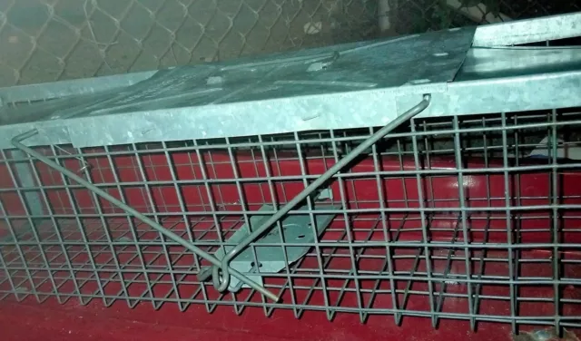 Havahart Medium Live Animal Trap Control Steel Cage 32"x7.5"x6.25 " Lititz PA