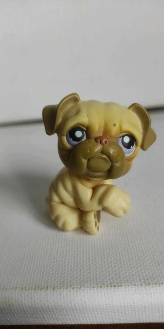 Figurine Little Petshop LPS Chow Chow #1636 Hasbro - Occasion - Collection, Décoration - Chien (erreur: Chat Dans L’annonce)