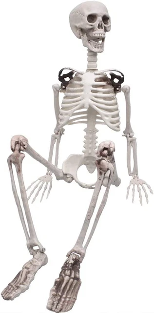 Levarsi In Piedi Degli Scheletri Di Halloween Illustrazione Di Stock - Illustrazione Di Elemento - 8