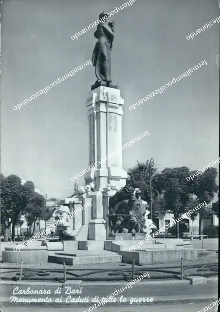 AF733 CARTOLINA CARBONARA di bari monumento ai caduti EUR 5,00