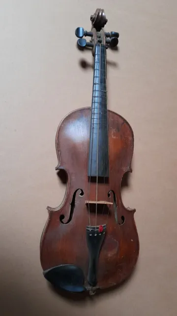 Stainer Geige - Violine