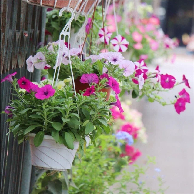 PLANT HANGER MACRAME Hanging Flower Pots Holder Garden Planter Hooks