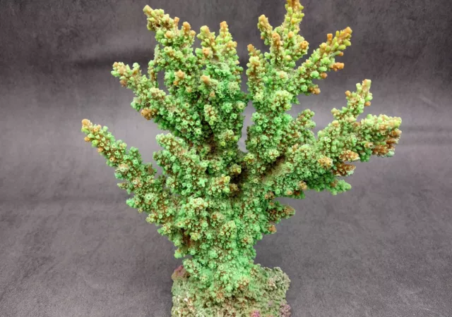 GREEN FAUX BRANCH Coral (1 Fake Coral approx. 7.5Tx7Wx2D inches) $45.00 ...