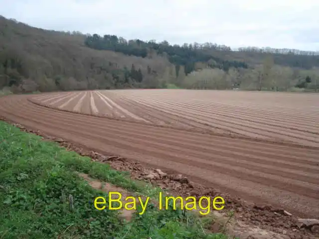 Photo 6x4 Wye Valley Flood Plain at How Caple Crossway/SO6131 The river  c2007