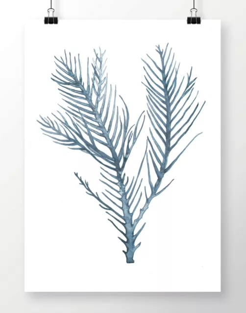 SEA FLORA II Botanical Sea Fern Watercolour Print- Coastal Plant Seaweed Hampton