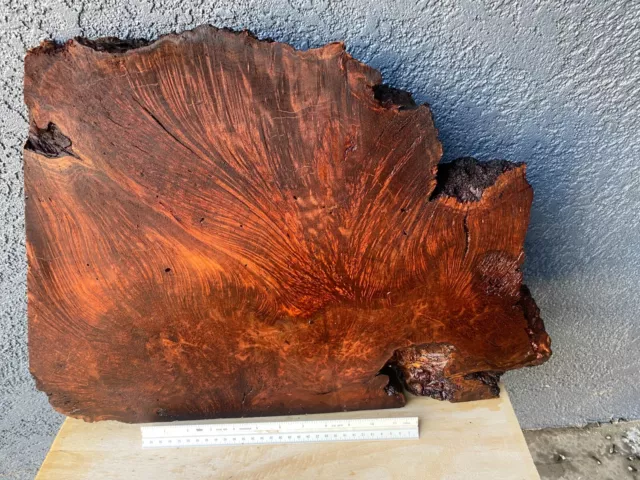 Redwood Lace Burl Slab Charcuterie Board Blank  1 3/4" x 16" x 22"  #951