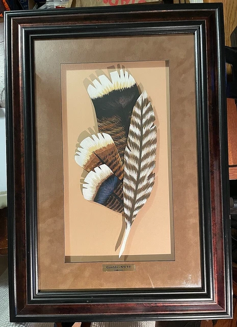 Vintage Goulds National Wildlife Turkey Federation NWTF 3D Art Framed 1288/2600