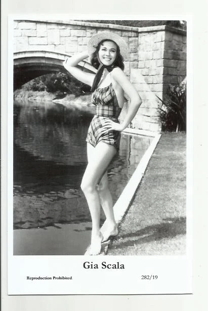 (Bx22) Gia Scala Swiftsure Photo Postcard (282/19) Filmstar Pin Up Glamor