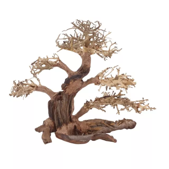 XL Bonsaï Arbre Nr.12037 Racine Bois Aquarium Déco Aquascaping Nature Oriental