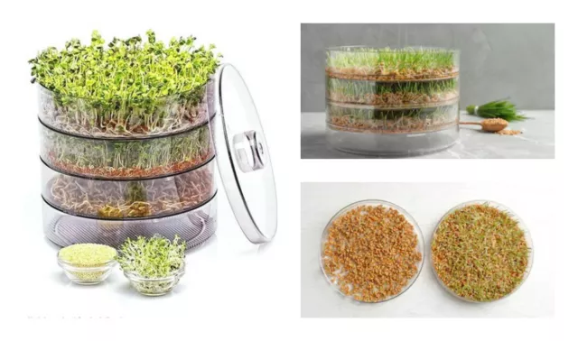 3 TRAY SEED SPROUTER KITCHEN GERMINATOR FOR BEAN & SEEDS Healthy Organic Sprouts