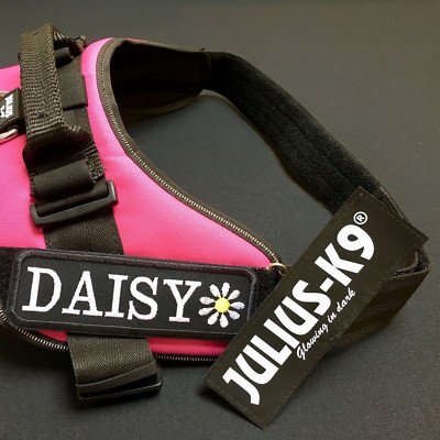JULIUS-K9 EMBROIDERED HARNESS Labels. **GLOW IN THE DARK ...