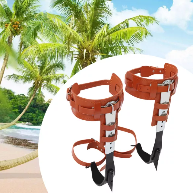Tree Climbing Spike Set 440lbs Rescue Belt Adjustable Safety Belt Gloves Lanyard