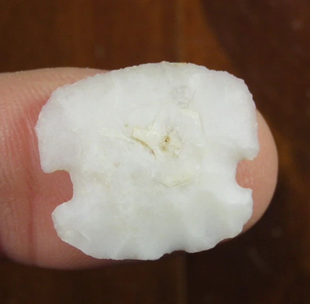 Rare side-notched hafted scraper, semi-translucent chalcedony, Mexico, 7/8 in.