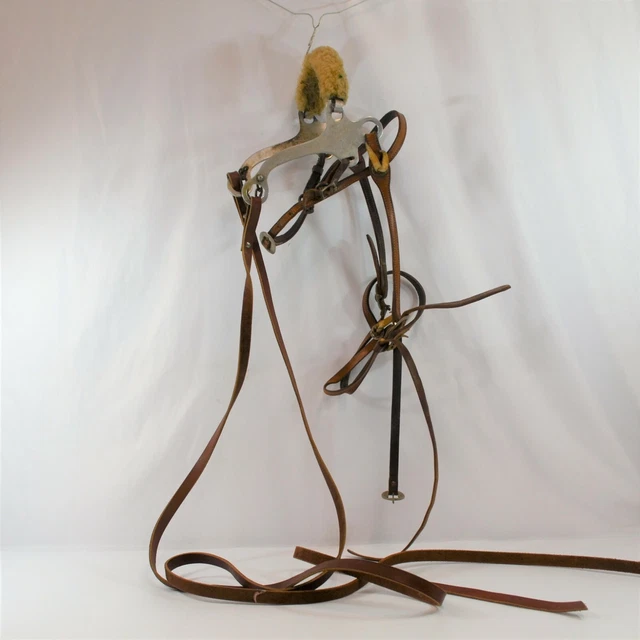 WESTERN HORSE BRIDLE Halter Tack Engraved Bit Brown Leather Equestrian