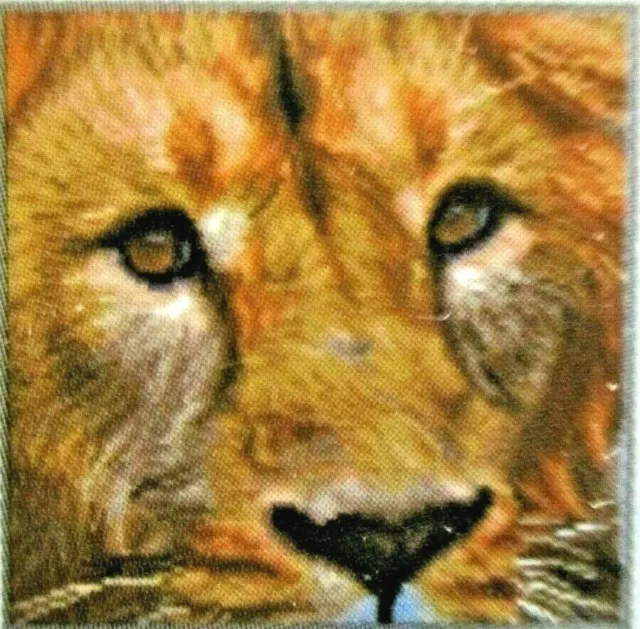 Diamond Dotz  Lion  Diamond Facet Art Kit "SERENGETI MAGIC"