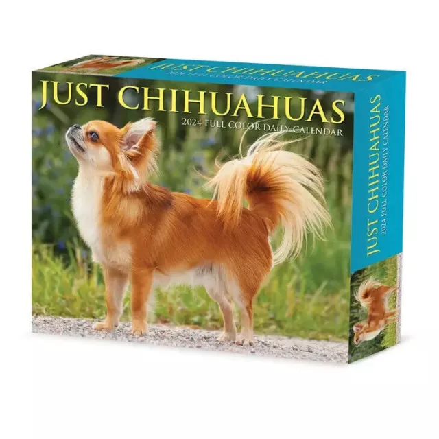 Willow Creek Chihuahuas 2024 6.2" x 5.4" Box Calendar w