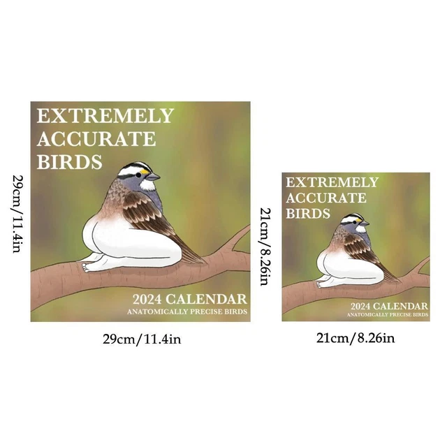 2024 CALENDAR OF EXTREMELY ACCURATE BIRDS 2024 Bird Wall Calendar