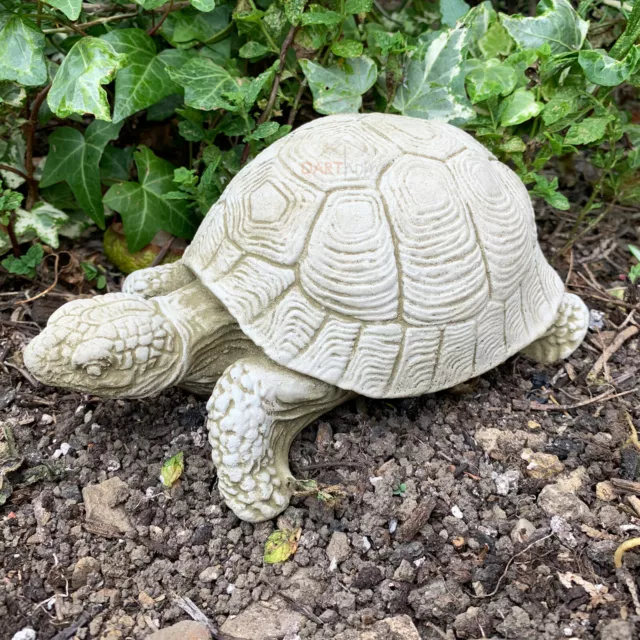 Schildkröte Schildkröte Terrapin Reptil Stein Garten Rasen Statue Ornament Skulptur Kunst