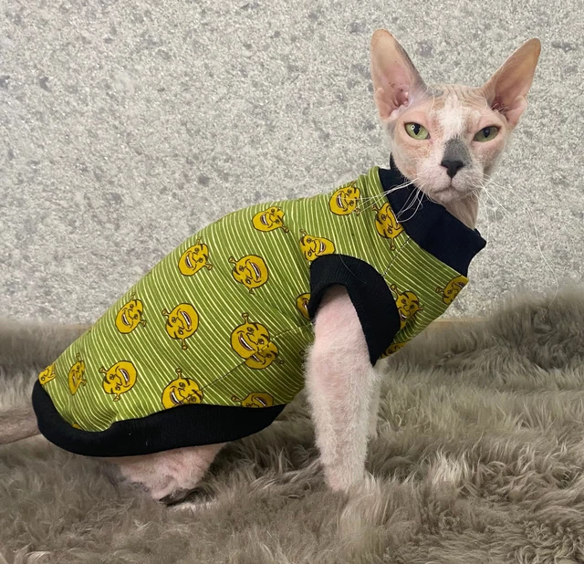 CAT CLOTHES, SPHYNX cat clothes, gift for cat, cat sweatshirt, cat