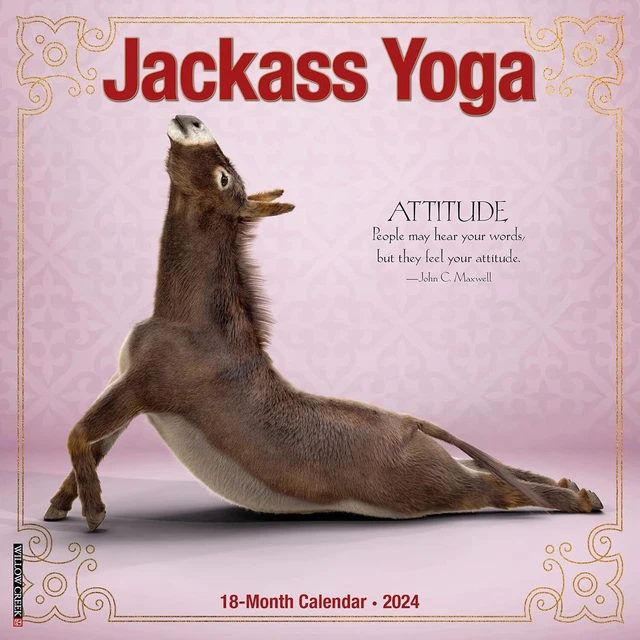 Jackass Yoga - 2024 Calendario da Parete - Nuovo - 34125