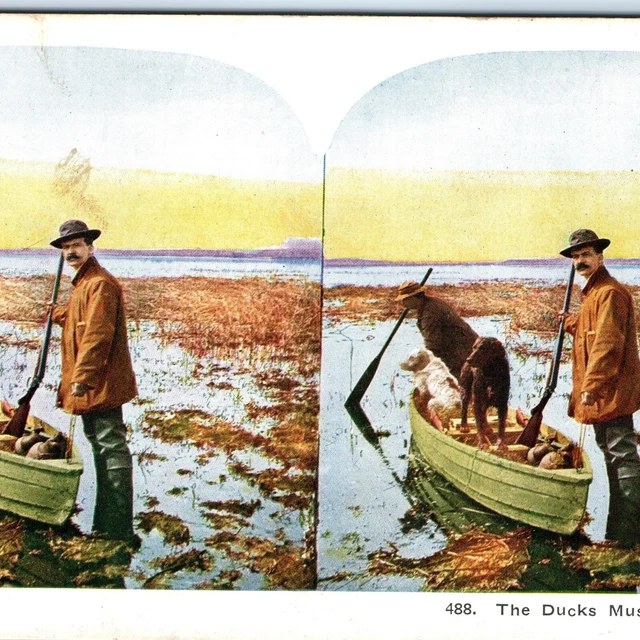 c1900s Men & Dogs Duck Hunting Suffer Gun Boat Swamp Bird Game Stereo Card V18