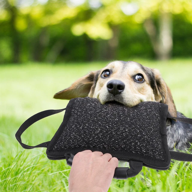1pc Hund Beißen Schlepper Spielzeug Pet Biss Spielzeug