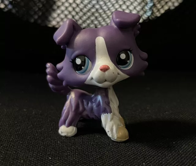 Littlest Pet Shop Collie #1676 LPS Lila Hund Original Authentic Hasbro