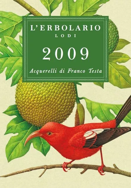 L'ERBOLARIO LODI -  CALENDARIO 2009 -  Acquerelli di Franco Testa -  USATO