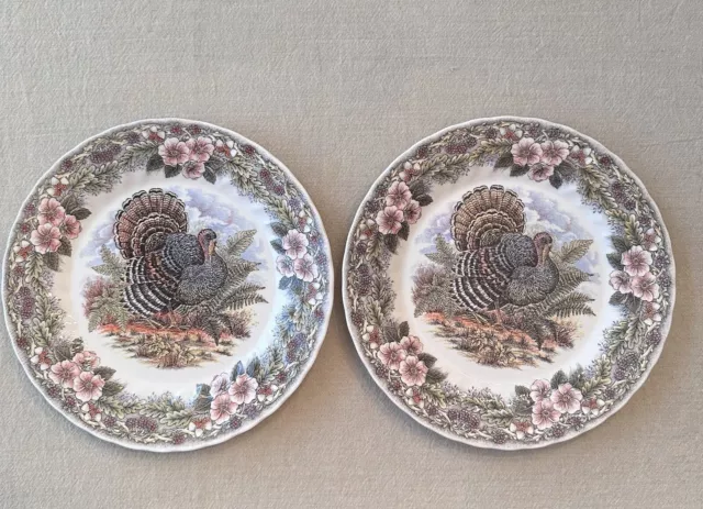 LOT OF 2 QUEEN’S Myott Factory Thanksgiving 10” TURKEY Dinner Plates EUC