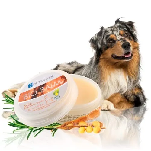 Dermoscent | Bio Balm | Dog Paw Balm | Organic Moisturizer for Paw Pads, Nose &