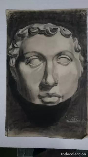 Dibujo de busto o rostro masculino del autor Alberto Duce Vaquero.Pintado al car