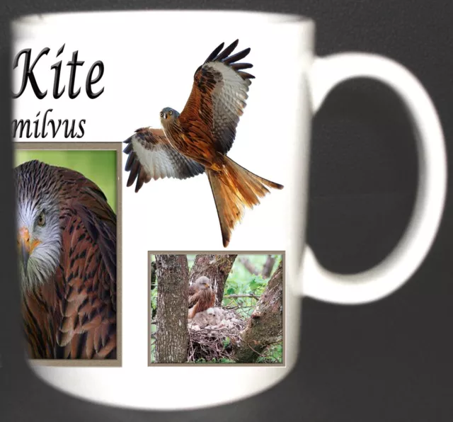 Red Kite Bird Of Prey Coffee / Tea Mug Limited Edition Great Gift  Milvus Milvus