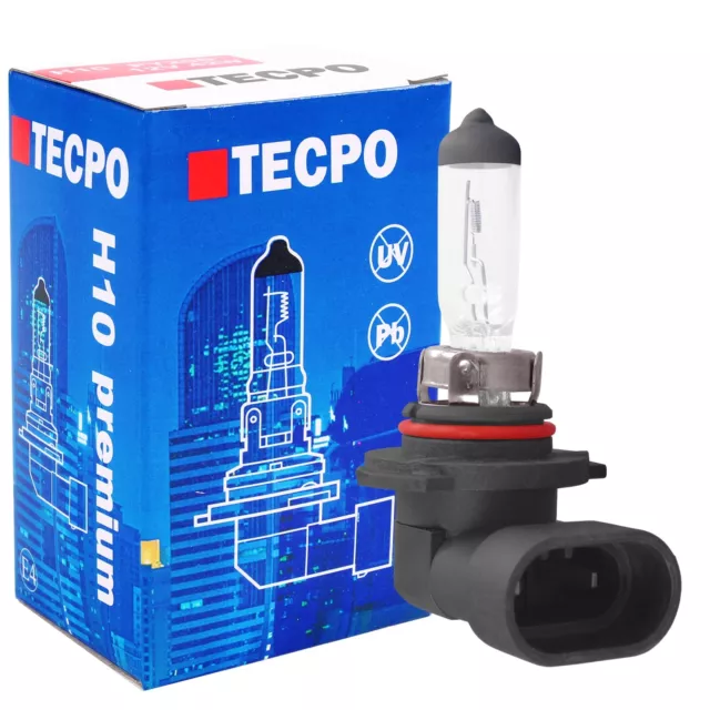 1x TECPO H10 HALOGEN GLÜHBIRNE 12V 42W AUTO-LAMPE PY20D NEBELLICHT GLÜHLAMPE