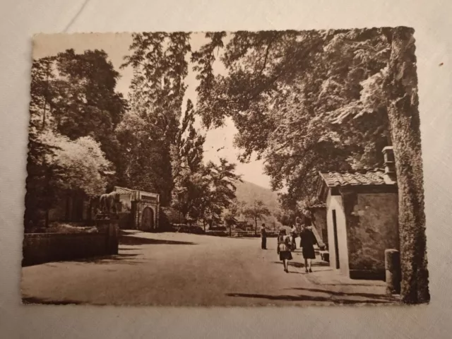 Cartolina di Lucca. Le mura.Perfetta viaggiata nel 1950